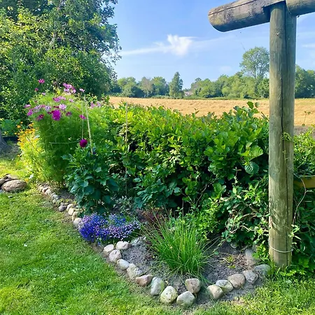 Charming Summer House On Oro With Natural Plot Feriehus *