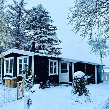 Charming Summer House On Oro With Natural Plot