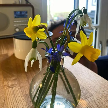 Charming Summer House On Oro With Natural Plot Дом отдыха