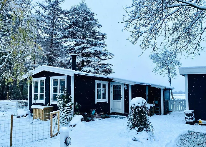 Charming Summer House On Oro With Natural Plot