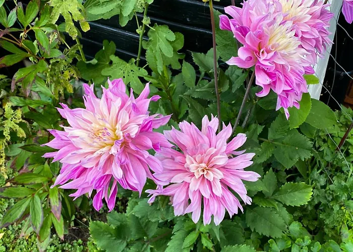 Nyaraló Charming Summer House On Oro With Natural Plot