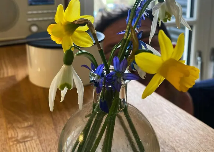 Charming Summer House On Oro With Natural Plot Nyaraló